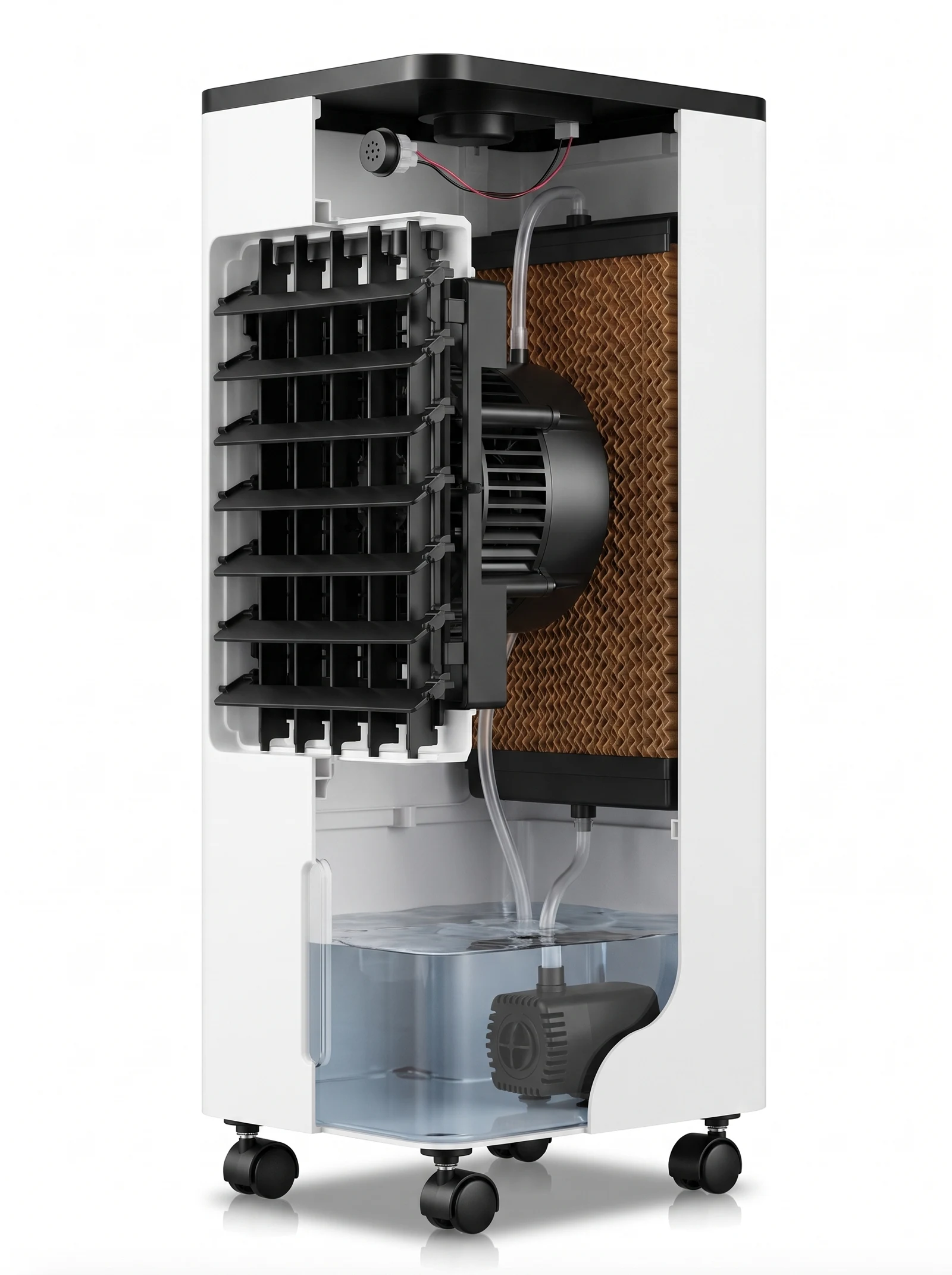 Cross section